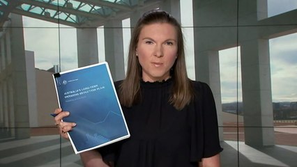 Federal Government releases modelling showing how Australia will reach net zero emissions