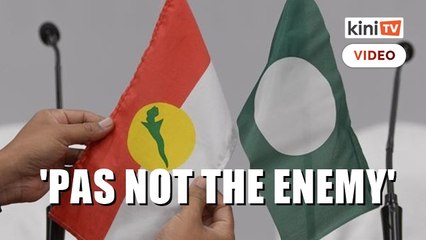 Umno: Don’t attack PAS, they’re not the enemy