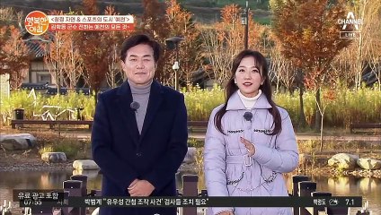 제덕쿵야♥ 영상편지! 예천에서 양궁 스타가 많이 나오는 이유