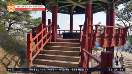 ※예천 핫플※ 아침 물안개 완전 힐링 재질♡ '회룡포 전망대&뿅뿅 다리'
