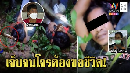 ดัดหลังโจรแสบฉกปาล์ม 2 ตัน จับมัดรุมตี เมียลูกดกร่ำไห้ยากจนต้องขโมย 4รอบ | ทุบโต๊ะข่าว | 11/11/64