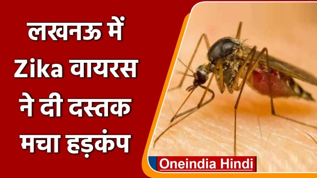 Zika Virus: Kanpur- Kannauj के बाद अब Lucknow में भी Zika Virus ने दी दस्तक | वनइंडिया हिंदी