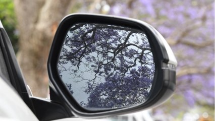 Hautes-Pyrénées : l'arnaque au rétroviseur est de retour !