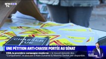 Une pétition anti-chasse a dépassé les 100.000 signatures et va être portée au Sénat