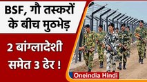 West Bengal: Cooch Behar में BSF, गौ तस्करों में मुठभेड़, 2 बांग्लादेशी समेत 3 ढेर | वनइंडिया हिंदी