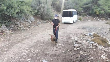 Kaybolan 3 yaşındaki çocuğu arama çalışmaları devam ediyor