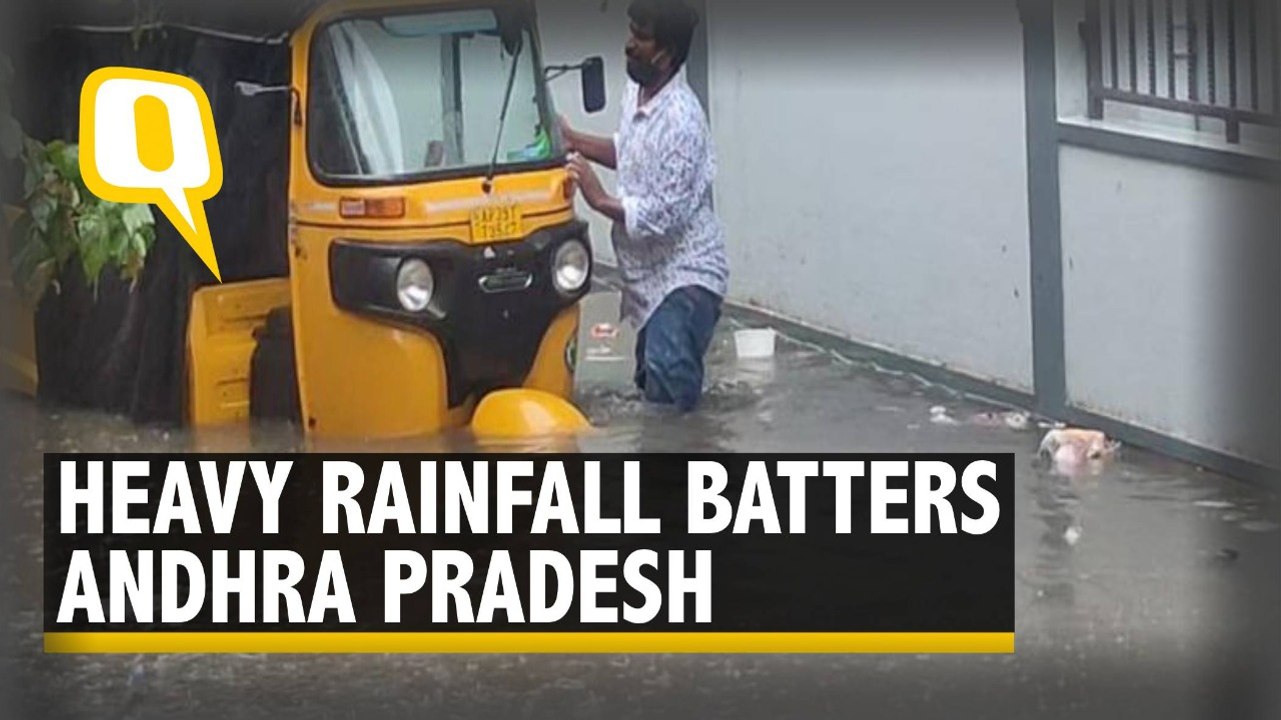 Andhra Pradesh: Heavy Rain Lashes Parts of State; Streets Waterlogged, Rescue Team Deployed