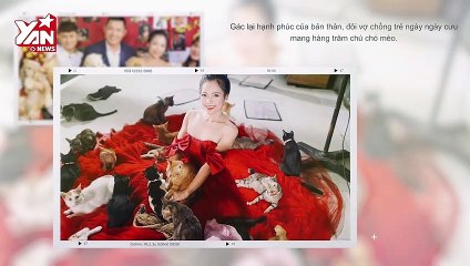 Cặp vợ chồng cưu mang hàng trăm chó mèo của F0: quyết không sinh con để chăm lo thú cưng | Điện Ảnh Net
