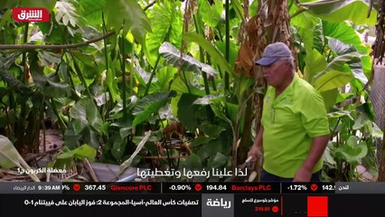 ...بحر على ما هو أهم من اماكن للتنزه فهي ته...