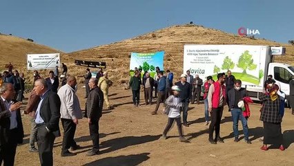 Şanlıurfa'da binlerce ağaç toprakla buluştu