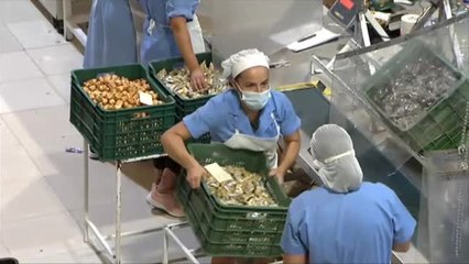 La Comisión Europea recorta 1'6 puntos la previsión de crecimiento de España