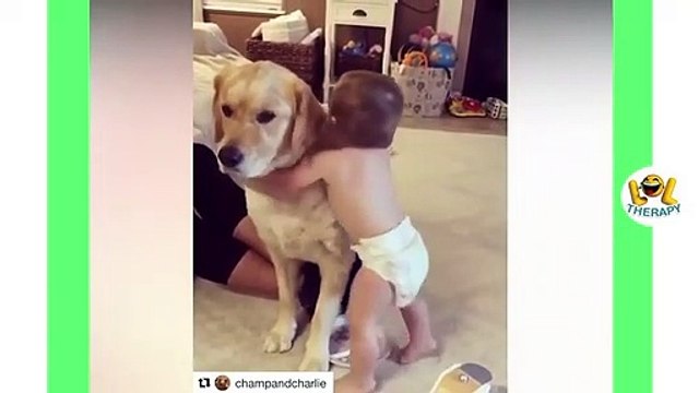 Funny Babies Laughing Hysterically at Dogs Compilation dogs and babies laughing