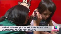 Niños hispanos estarían más expuestos a la intoxicación por plomo