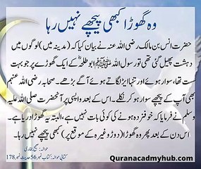 وہ گھوڑا کبھی پیچھے نہیں رہا#Hadees #UrduHadees #ahaadeees