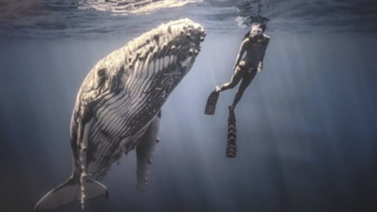 Ai Futaki, la mensajera de los océanos: "Somos parte del planeta, no dueños"