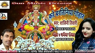 Bhojpuri Chhath Geet I Kare Bartinia Gohar I Bhojpuri Devotional I Shalini Tiwari