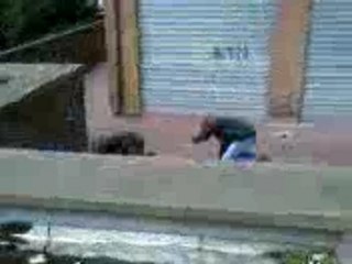 BRANDON & JOHNNY DU GROUPE 59650-crew-couz-yamakasi