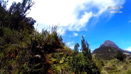 Berwisata ke Taman Nasional Lorentz Papua