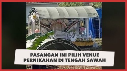Pasangan Ini Pilih Venue Pernikahan di Tengah Sawah, Pelaminan Jadi Sorotan