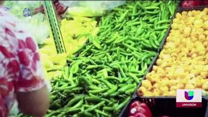 INSEGURIDAD ALIMENTARIA