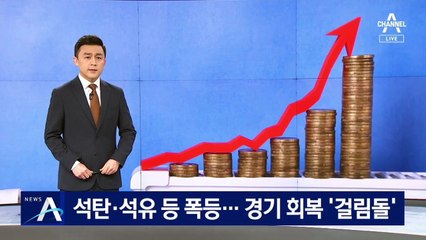 석유·석탄 등 수입 물가 폭등…경기 회복 ‘걸림돌’