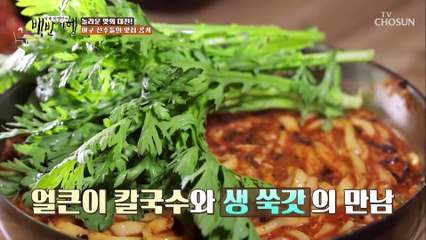 얼큰함이 일품↗ 맵지만 중독성 최고! 얼큰이 칼국수 TV CHOSUN 20211112 방송