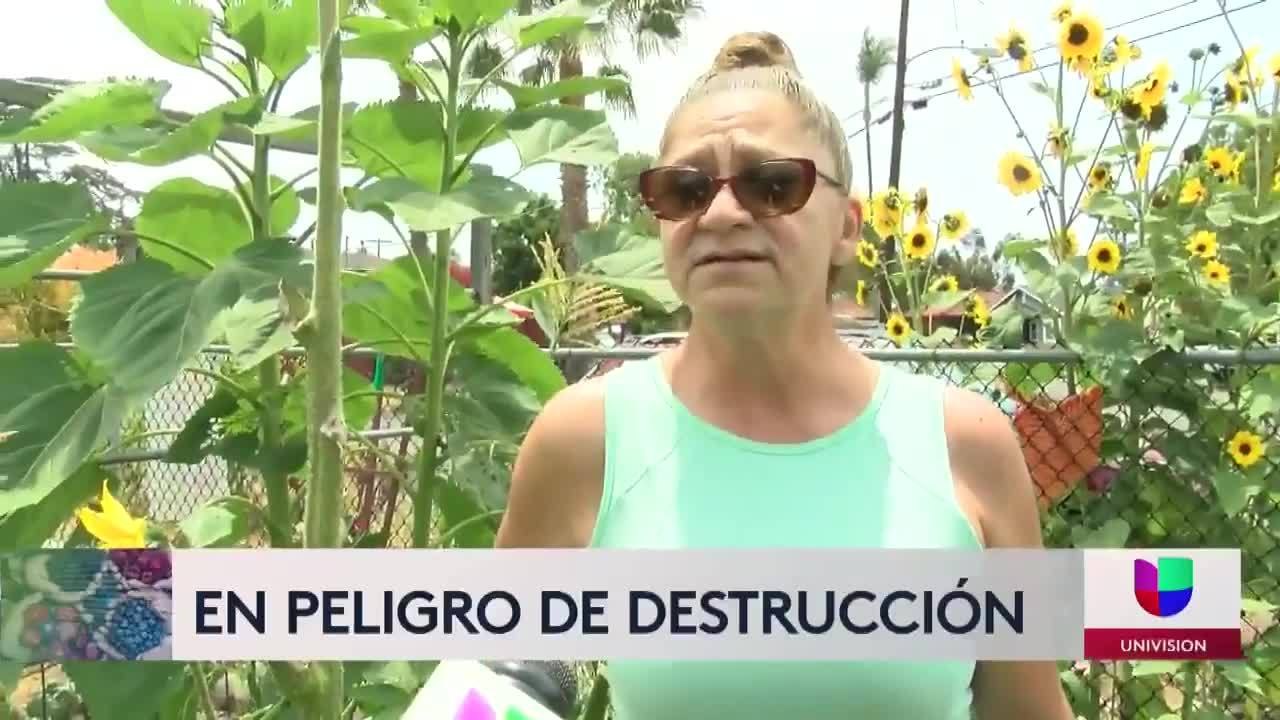 Noticias San Diego 6pm 061621 - Clip