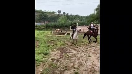 Se deslizó con su caballo !