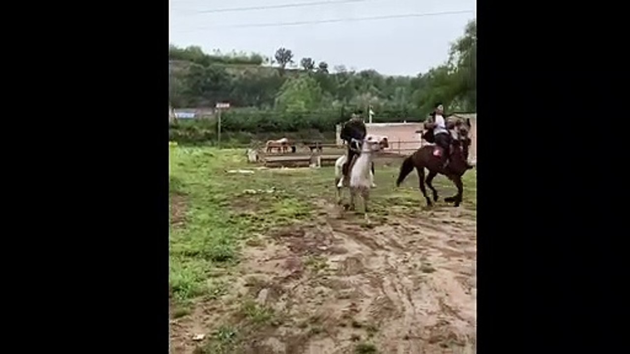 Se deslizó con su caballo !