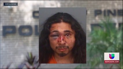 Ferretti-Pinellas Park atropellados