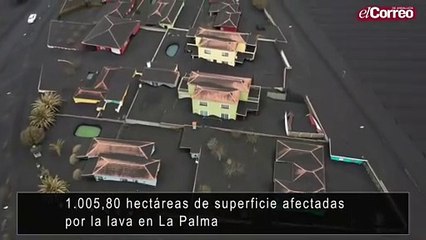 1.005,80  hectáreas de superficie afectadas por la lava