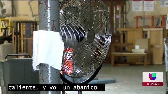 060821 OLA DE CALOR EN CHELSEA.mp4