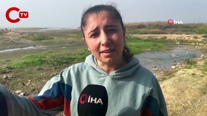 İznik Gölü’ndeki tehlike korkutuyor