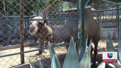 Recolección de alimentos para los animales del Centro Recreativo San Jorge