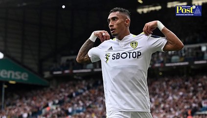 YEP LUFC News 12th November