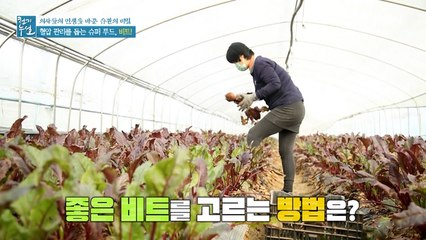 비트에 관한 모든 것! 좋은 비트 고르는 법부터 비트 보관법까지