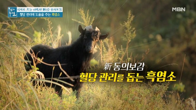 당뇨 완화 도운 검은 물의 정체! 혈당 관리 돕는 '흑염소'