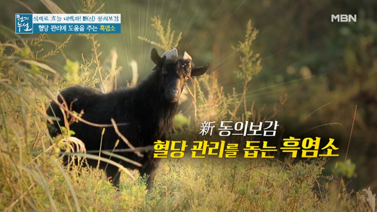 당뇨 완화 도운 검은 물의 정체! 혈당 관리 돕는 '흑염소'
