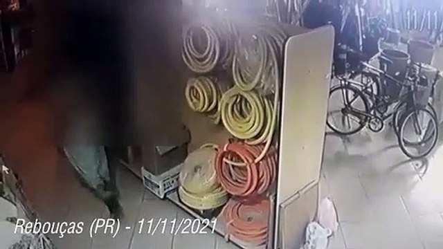 PRF prende duas mulheres que furtavam fios elétricos no Paraná