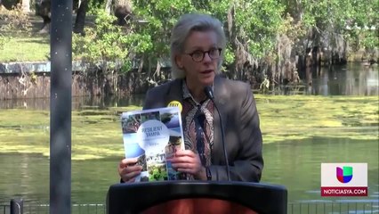 Ferretti-Alcaldía Tampa