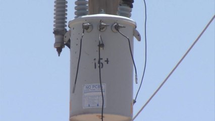 10PM FRAUDE EP ELECTRIC PKG