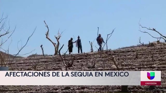 Noticias Palm Springs 11pm 052621