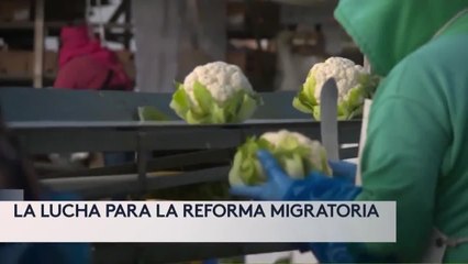 BENEFICIADOS DE DACA