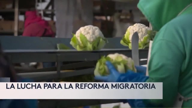 BENEFICIADOS DE DACA