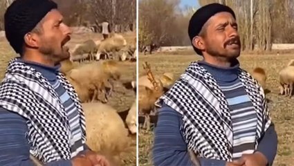 Tüm Türkiye bu çobanı dinliyor! Koyunların arasında söylediği şarkı kulakların pasını sildi