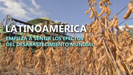 Efectos del desabastecimiento mundial en Latinoamérica