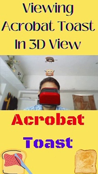 Viewing Acrobat Toast In 3D View