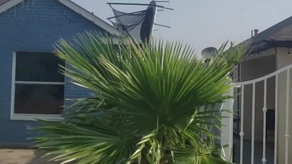 LDO 05-18-21 DANOS TORMENTAS (1)