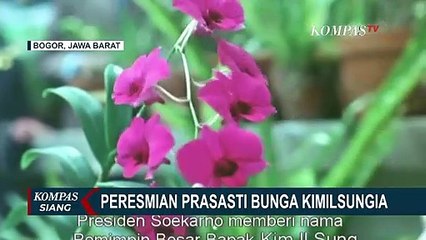 Megawati Resmikan Prasasti Bunga Anggrek Kimilsungia sebagai Lambang Persahabatan Indonesia-Korut