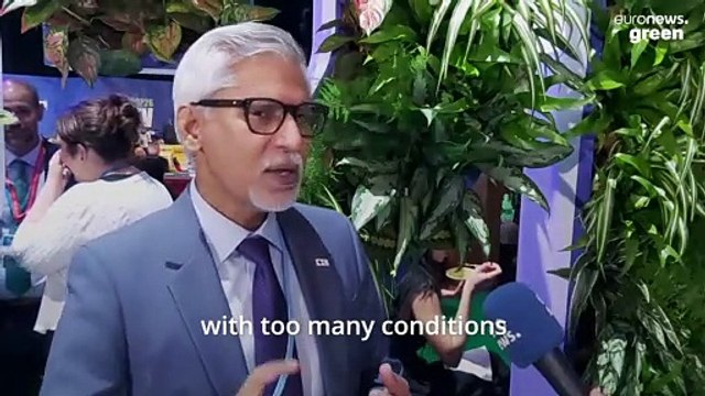 'Presence is powerful': Why are people on the frontlines of the climate crisis not at COP26?